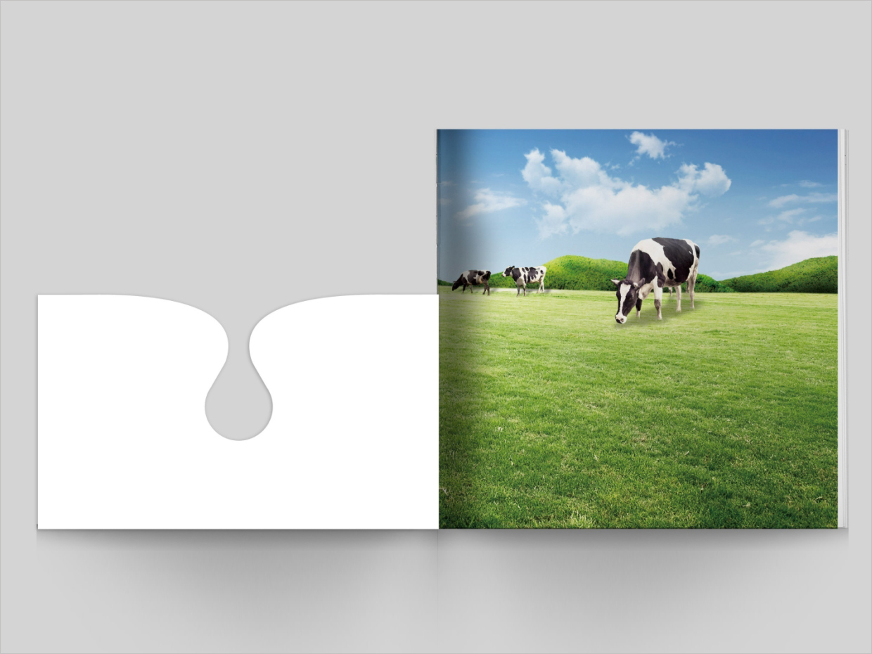 山東得益乳業股份有限公司畫冊設計之封面工藝展示 山東得益乳業股份有限公司畫冊設計之封面工藝展示