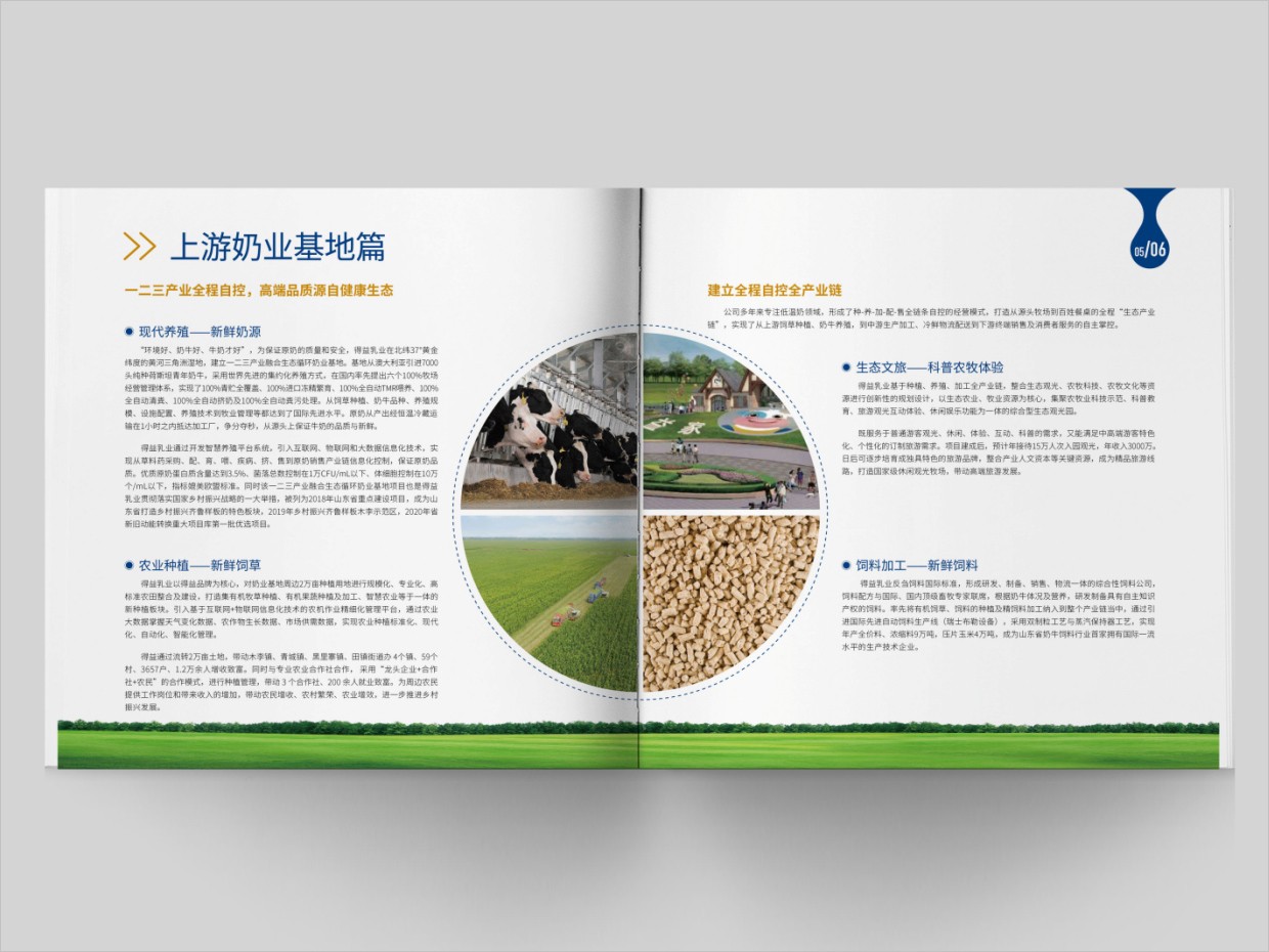 山東得益乳業股份有限公司畫冊設計之內頁設計 山東得益乳業股份有限公司畫冊設計之內頁設計