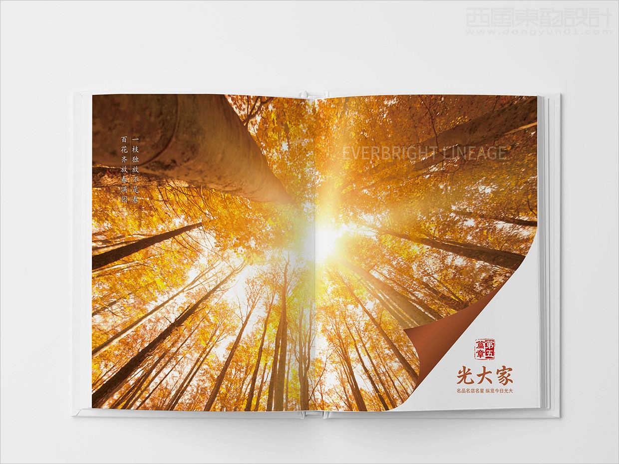 中國光大集團畫冊設計之畫冊內頁設計 中國光大集團畫冊設計之畫冊內頁設計